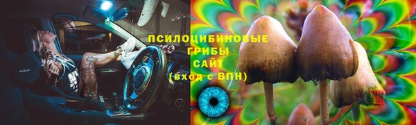 индика Алзамай