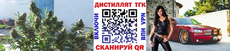 ТГК гашишное масло  KRAKEN зеркало  Апрелевка 